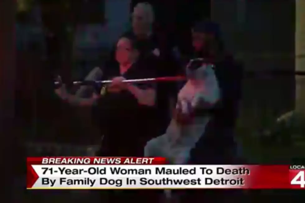 71-Year-Old Detroit Woman Mauled to Death by Pit Bulls [VIDEO]