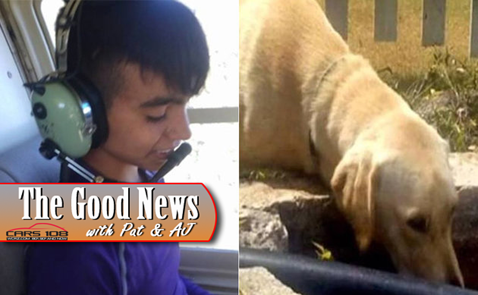 Dog Saves The Life of Boy Stranded in the Sierra Mountains – The Good News [VIDEO]