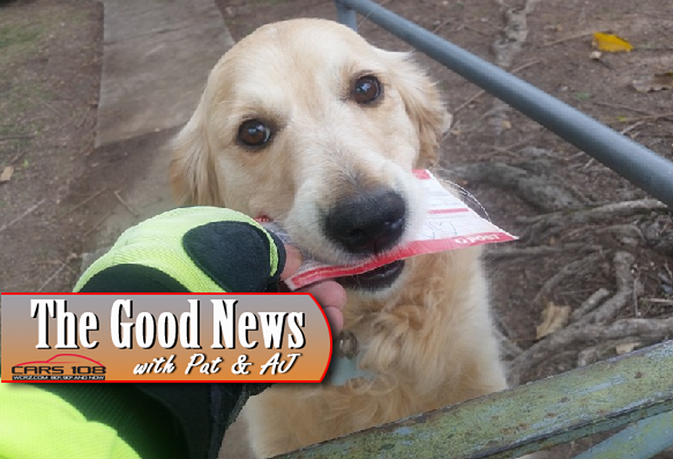 Australian Postman Delivers ‘Mail’ to Special Dog – The Good News [PHOTOS]