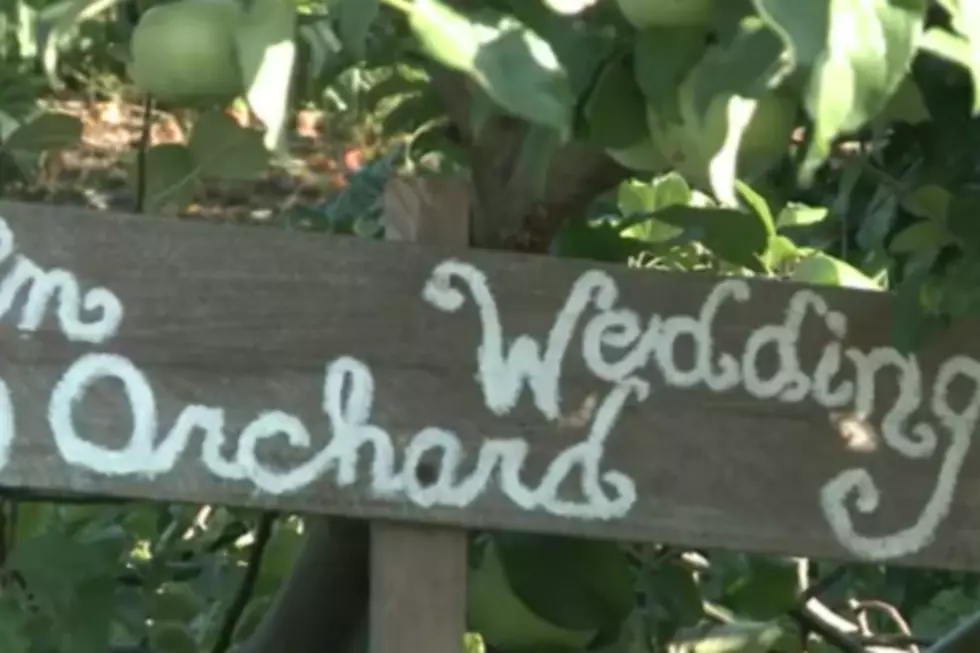 Michigan Orchard Out of the Marriage Business After Same-Sex Controversy [VIDEO]