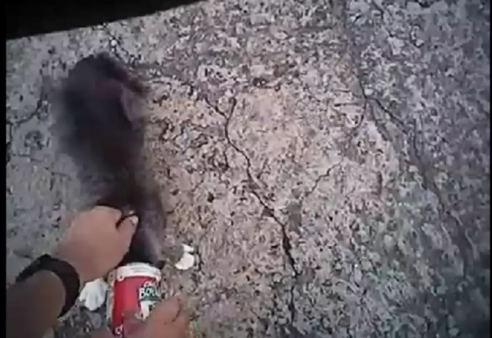 Oklahoma Police Chief Rescues a Cat from a Can of Chef Boyardee [VIDEO]
