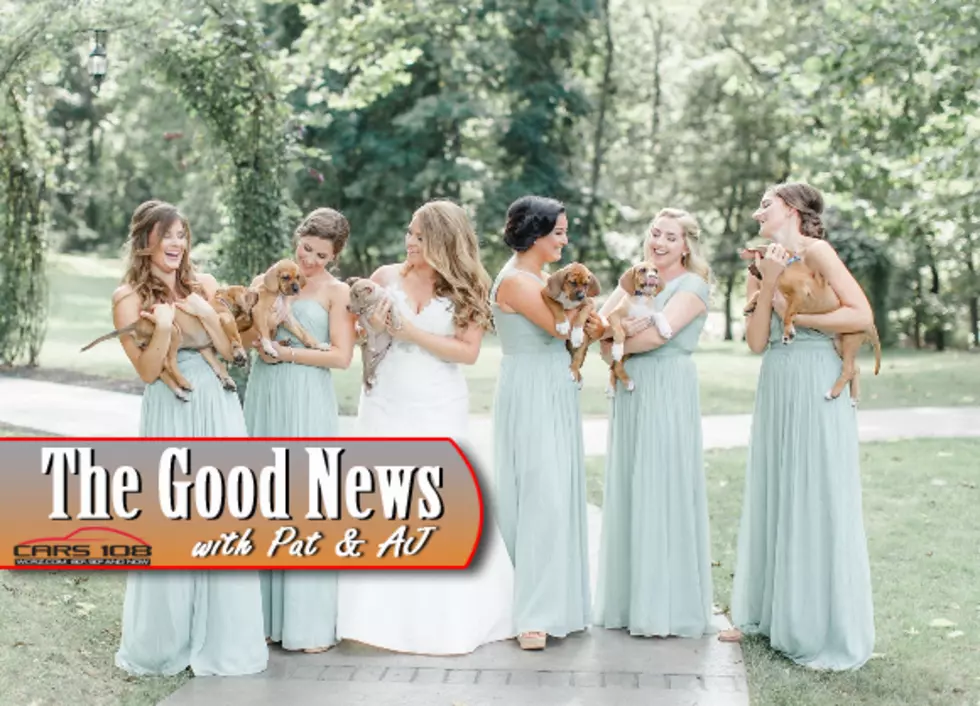 Bridesmaids Hold Rescue Puppies Instead of Flowers &#8211; The Good News [VIDEO]