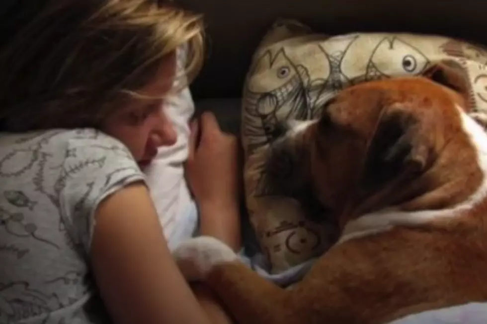 Seven Surprising Reasons You Should Let Your Dog Sleep With You [VIDEO]