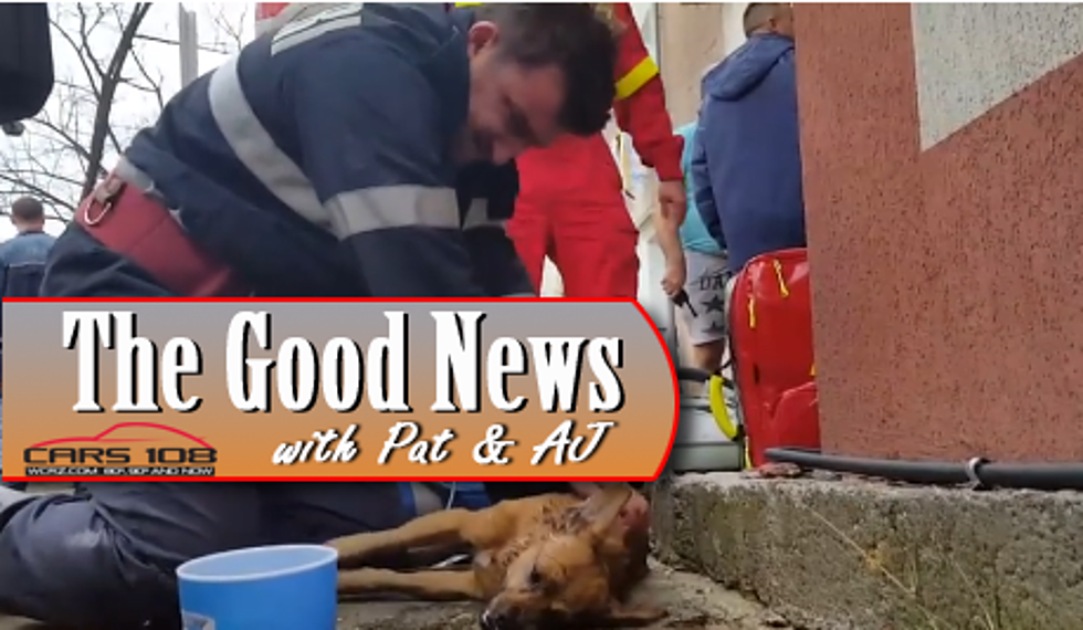 Romanian Firefighter Saves Dog’s Life With CPR – The Good News [VIDEO]