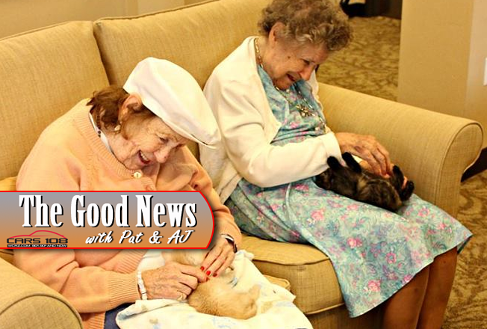 Dementia Patients Help Care for Orphaned Kittens – The Good News [VIDEO]