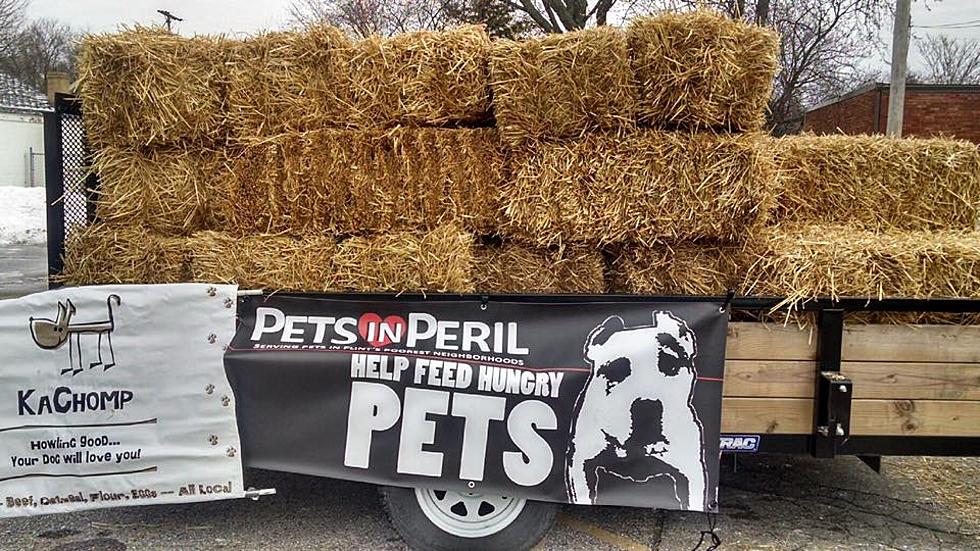 Local Flint Group Gives Out Free Straw to Pet Owners [VIDEO]