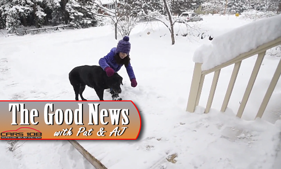 Mailman Builds Ramp for Elderly Dog On His Route – The Good News [VIDEO]
