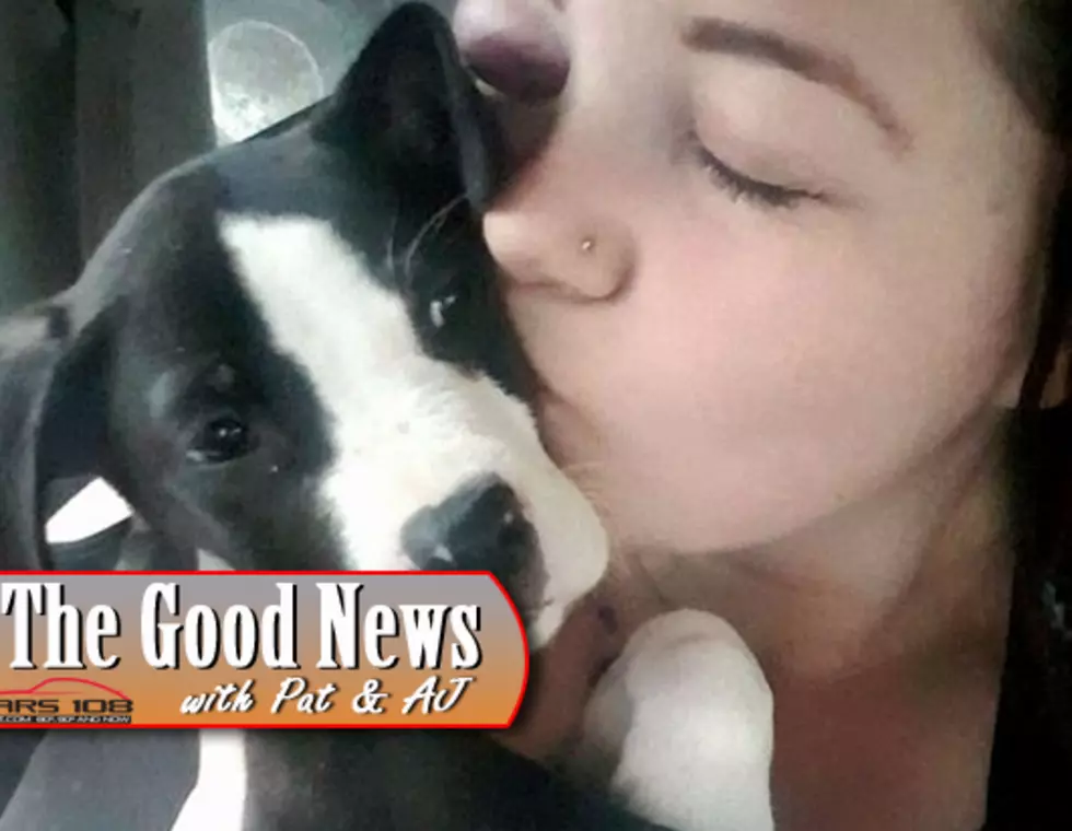 Social Media Helps Saginaw Woman Find Her Puppy – The Good News [PHOTOS]