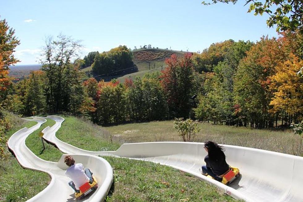 There’s a Mountain Coaster in Northern Michigan And We Wanna Ride It