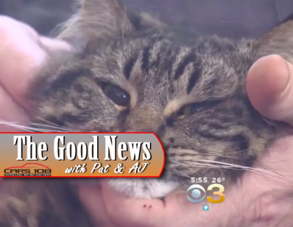 Wisconsin Cat Saves Family from Carbon Monoxide Poisoning – The Good News [VIDEO]