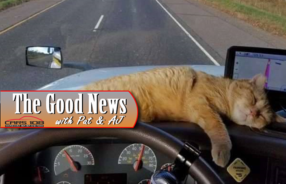 Trucker’s Cat Goes Missing, Finds Him 400 Miles Later – The Good News [VIDEO]