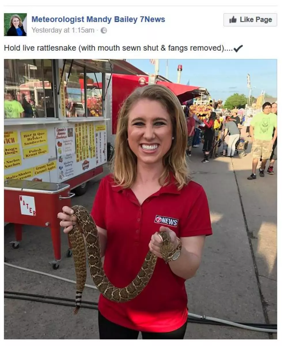 Meteorologist Poses with Rattlesnake and People Flip Out on Her, Hard &#8212; Here&#8217;s Why [PHOTO]