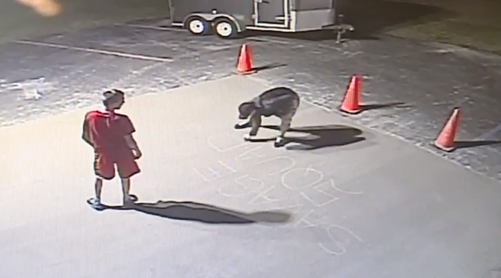 Bay City Boys In Trouble After Carving a Penis Into Freshly-Paved Parking Lot [VIDEO]