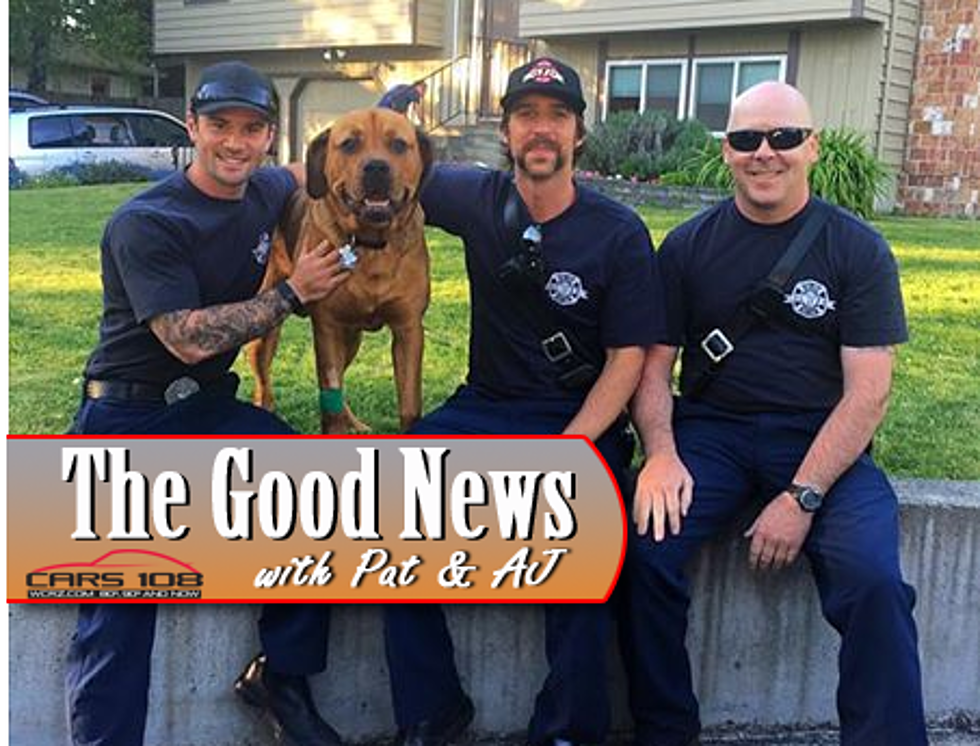 Washington Firefighters Save Dog with CPR – The Good News [PHOTOS]