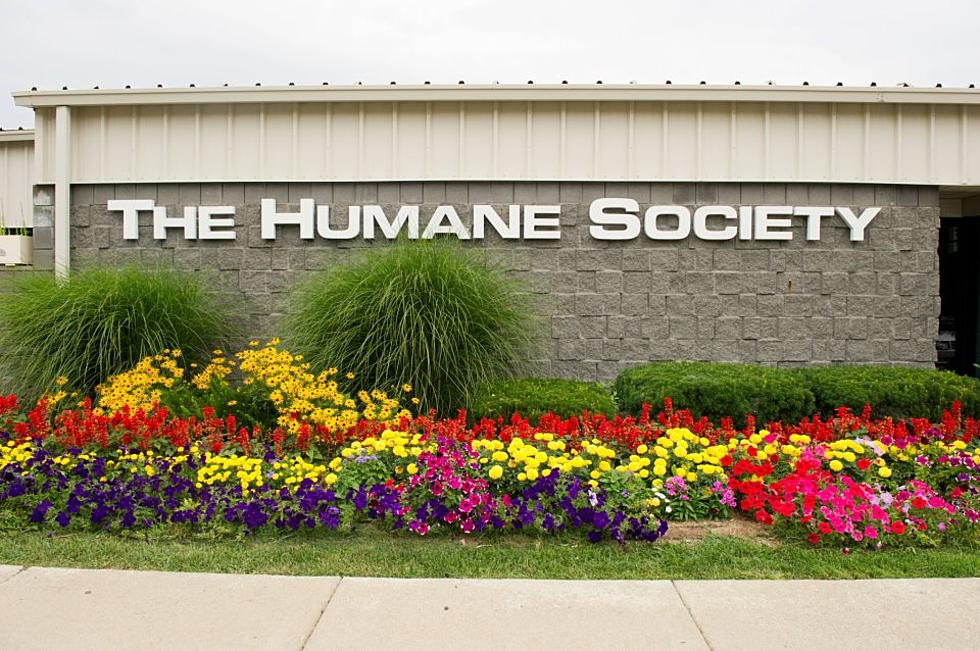 Help the Humane Society of Genesee County Win $5,000