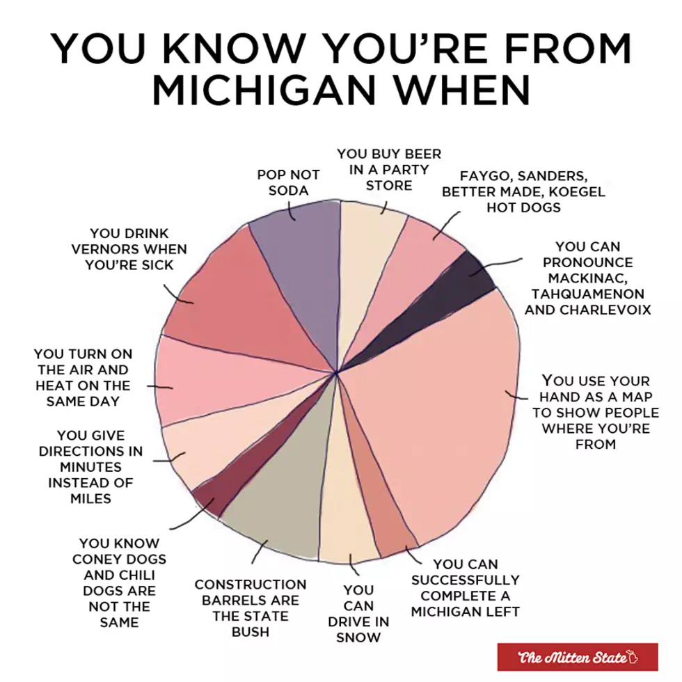&#8216;You Know You&#8217;re From Michigan When&#8217; Graph Hits the Internet &#8212; What Would You Add [PHOTO]