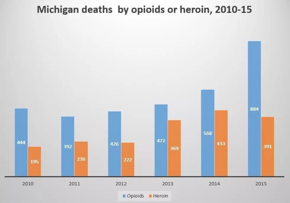 Sobering Facts About Michigan&#8217;s Prescription Drug Problem &#8212; Overdose Deaths Overtake Heroin