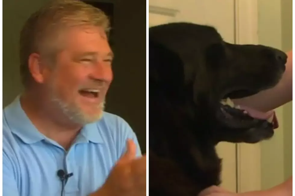 Family&#8217;s Lost Dog Makes a Surprise Return During TV Interview [VIDEO]