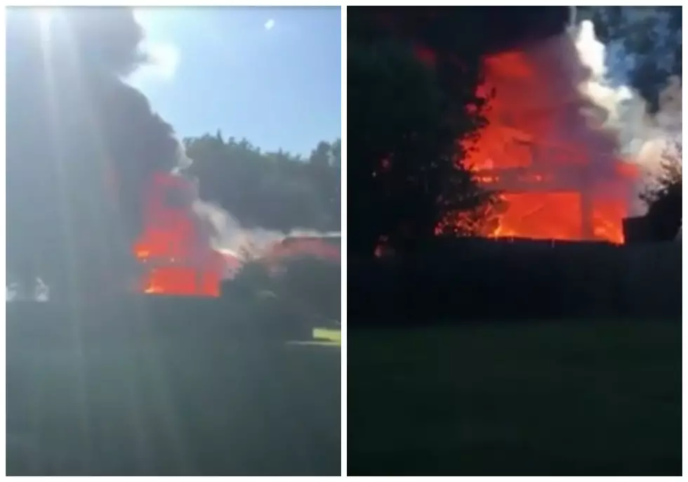 Grand Blanc Man Uses Fireworks to Get Rid of Bees (And Burns Down Garage in the Process) [VIDEO]