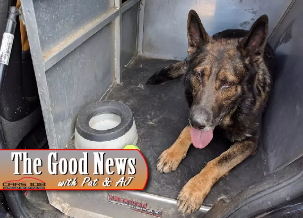 Police Dog Finds Kids Lost in Michigan Woods – The Good News [PHOTO]