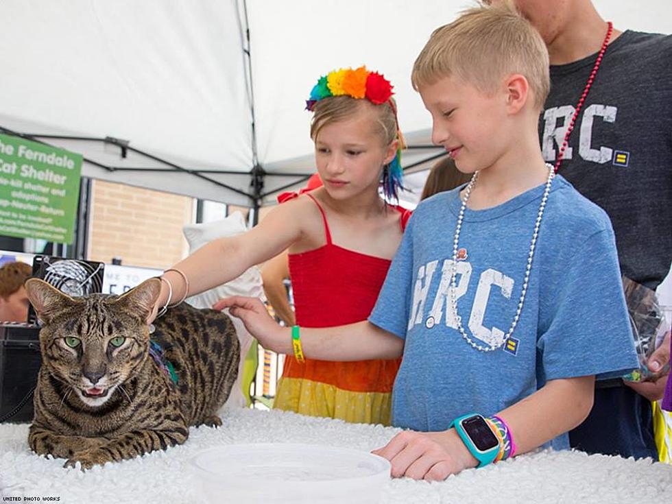 Two Detroit Cats Break Two Guiness World Records [PHOTOS]