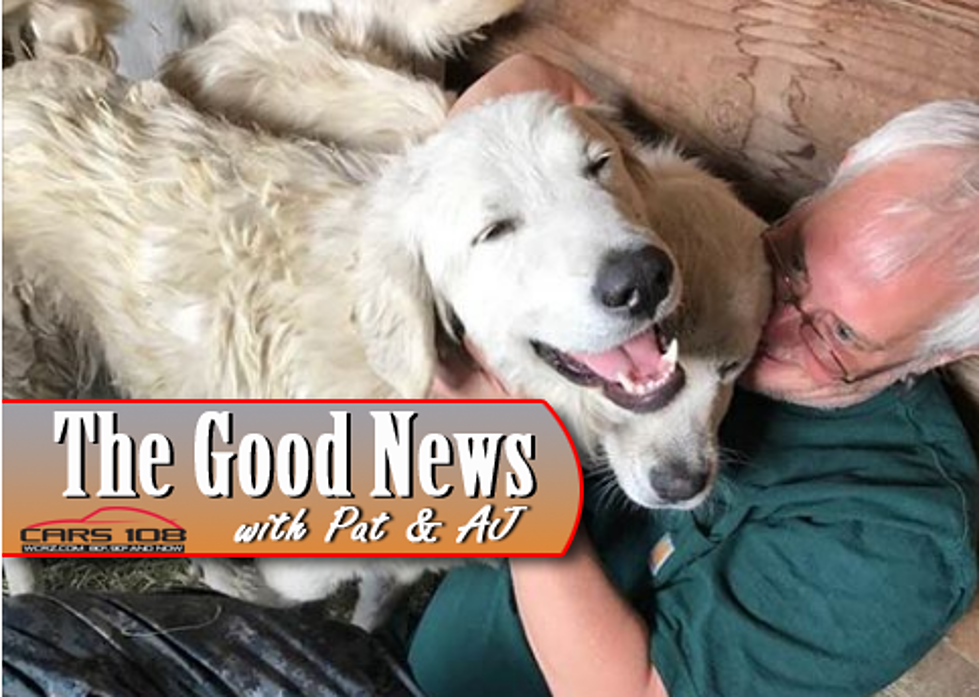 Hero Dog Saves Goats from California Fires – The Good News [VIDEO]