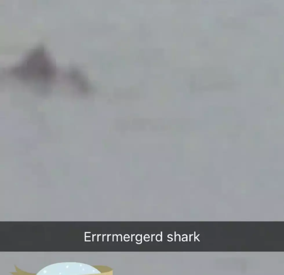 Did A Wisconsin Woman Catch Video of a Shark in Lake Michigan?