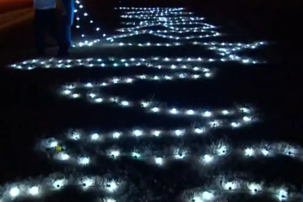 Man Uses Christmas Lights to Propose in a Plane [VIDEO]