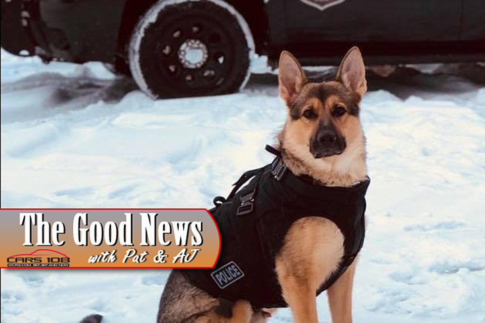 Ohio Charity Gives Vest to Michigan Police Dog – The Good News
