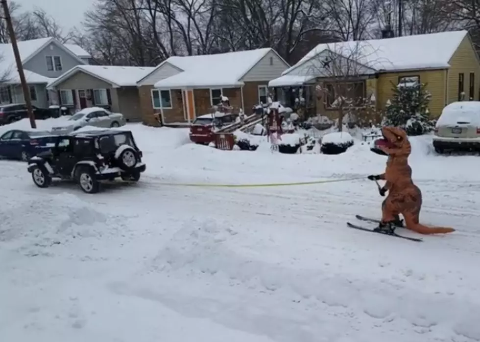 Dinosaurs Playing in Michigan Snow