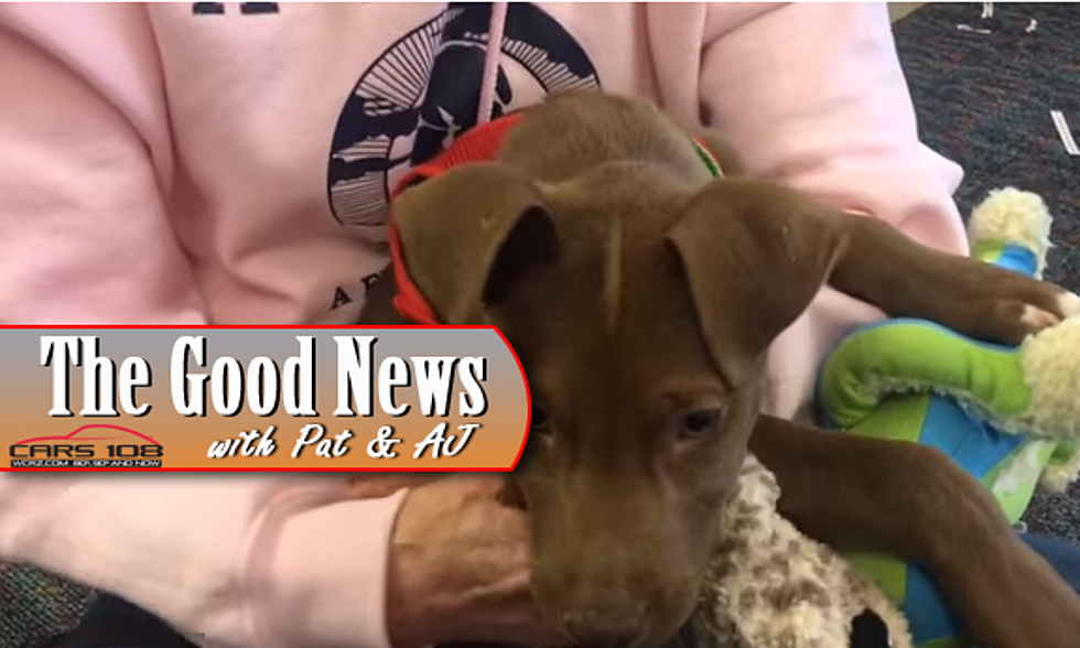 Fenton Students Read with Shelter Pets – The Good News [VIDEO]