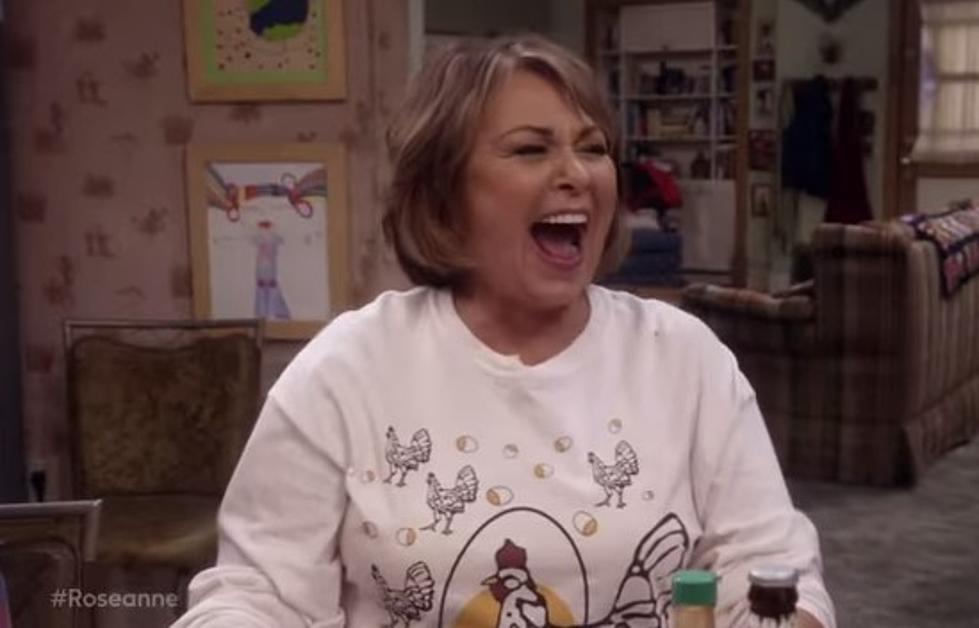 'Roseanne' Is Like Catching Up With Old Friends [REVIEW]