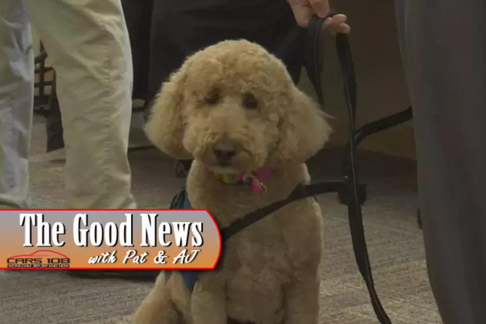 Saginaw Hospital Shows Off New Therapy Dogs &#8211; The Good News [VIDEO]