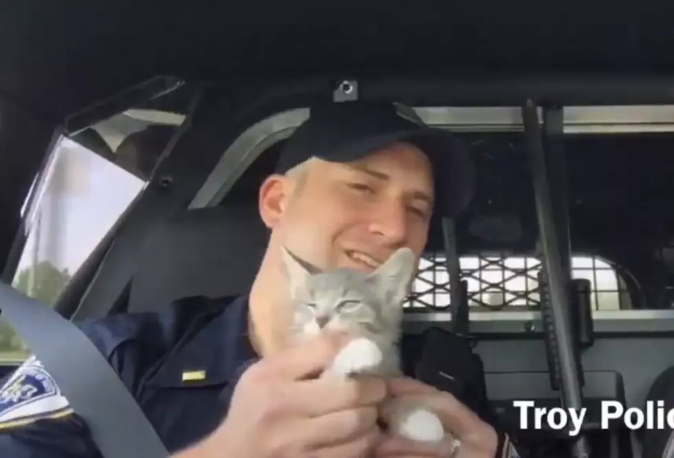 Troy Police Officers Do Carpool Karaoke With Police Cat [VIDEO]