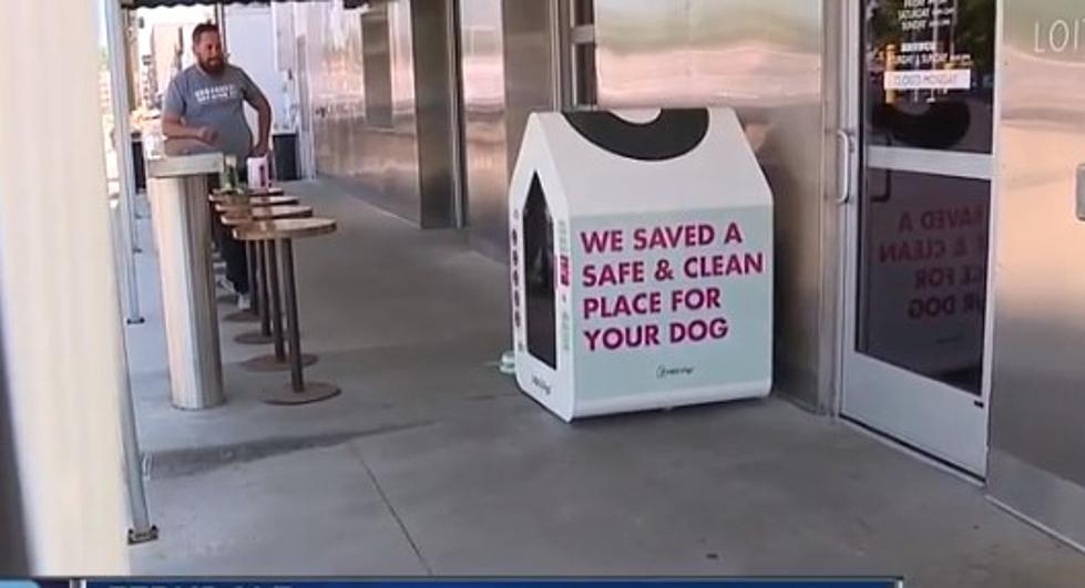 Detroit-Area Restaurants Install Air-Conditioned Dog Houses