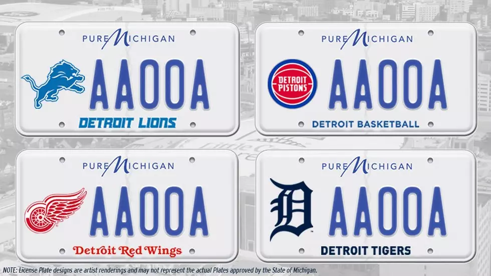 You Can Get Michigan Sports Logos On Your License Plate