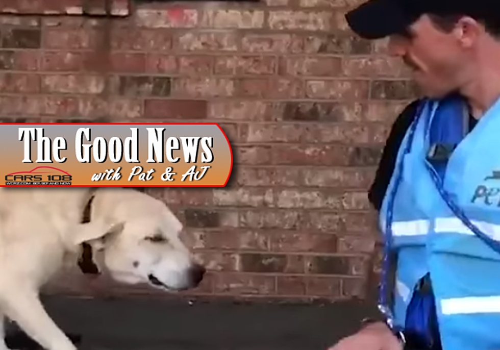 Videos of Animals Being Rescued from Hurricane Florence – The Good News