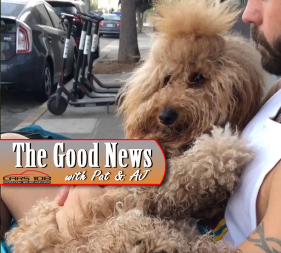 ‘Josh The Doodle’ Special Needs Dog Becomes a Star – The Good News