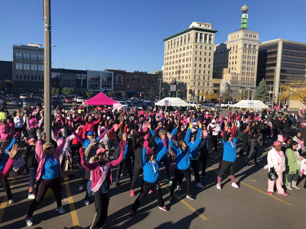 20th Anniversary of Making Strides in Flint [PHOTOS]