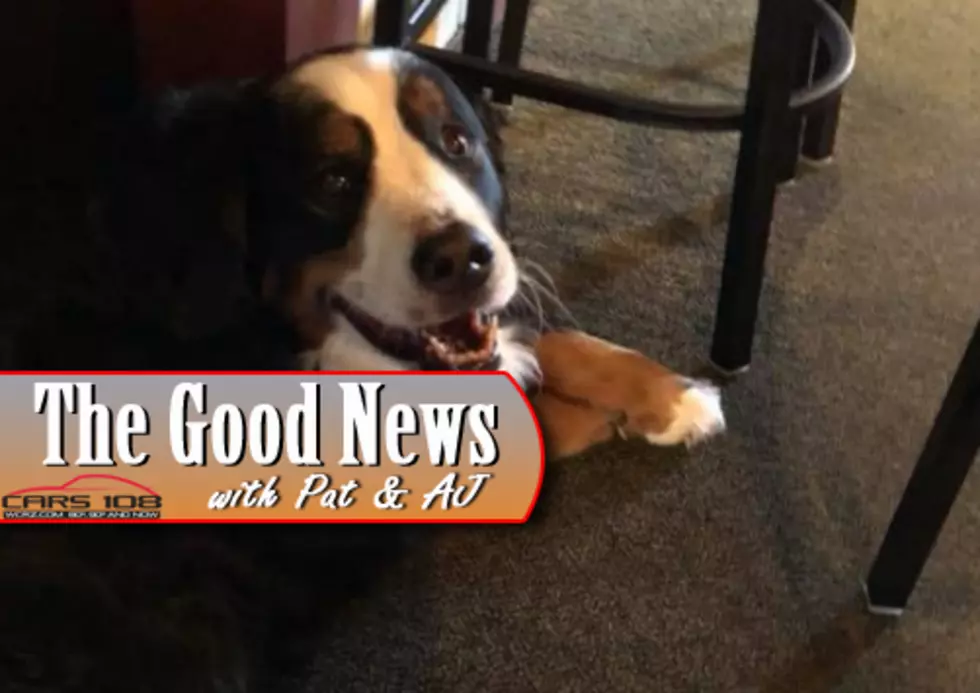 Veteran, Former Auto Exec & Therapy Dog Have Their Own MI Tavern – The Good News