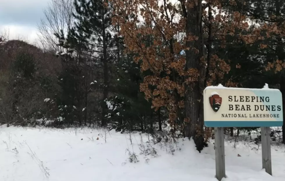 Volunteers Are Cleaning Up Michigan Parks During Govt Shutdown