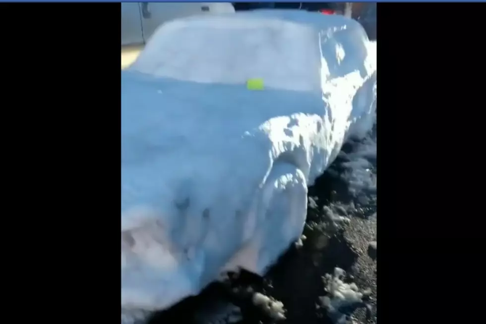 Family Builds Ford Mustang Out of Snow, But Then It Gets a Parking Ticket