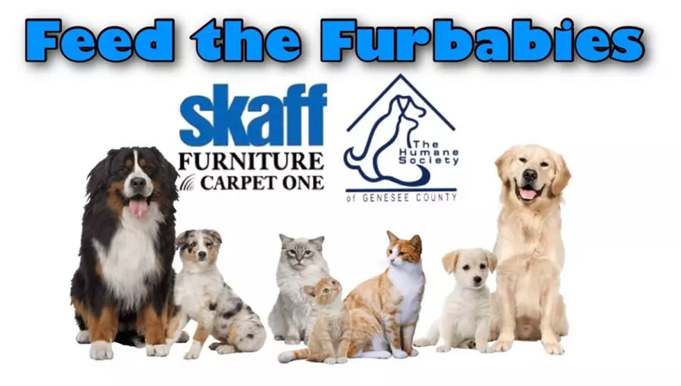 Feed the Furbabies with Skaff Furniture & Carpet One and Cars 108