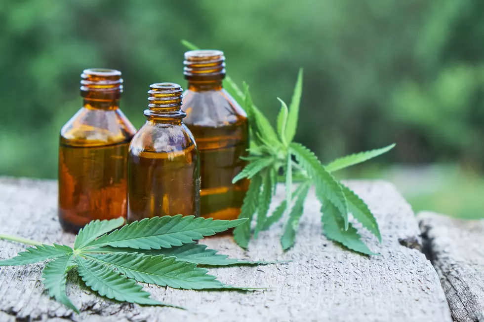 What You Need to Know About Buying CBD Oil in Michigan