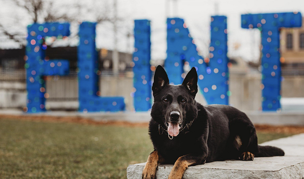 Flint Police K9 Working his Last Day Today Before Retiring – The Good News