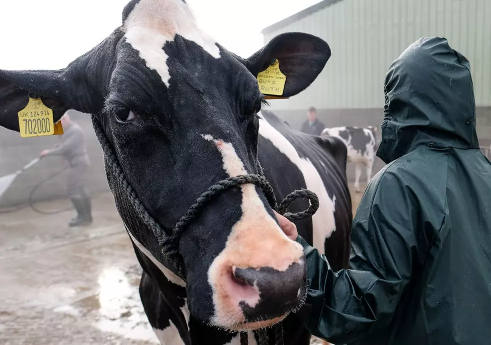 Did You Smell Manure in Genesee County Yesterday? We Did, Too