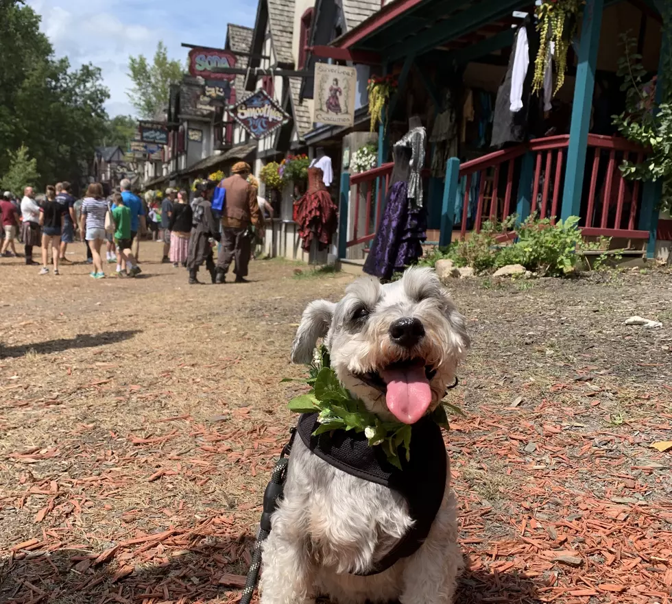 A Dog&#8217;s Day Out at the Michigan Renaissance Festival