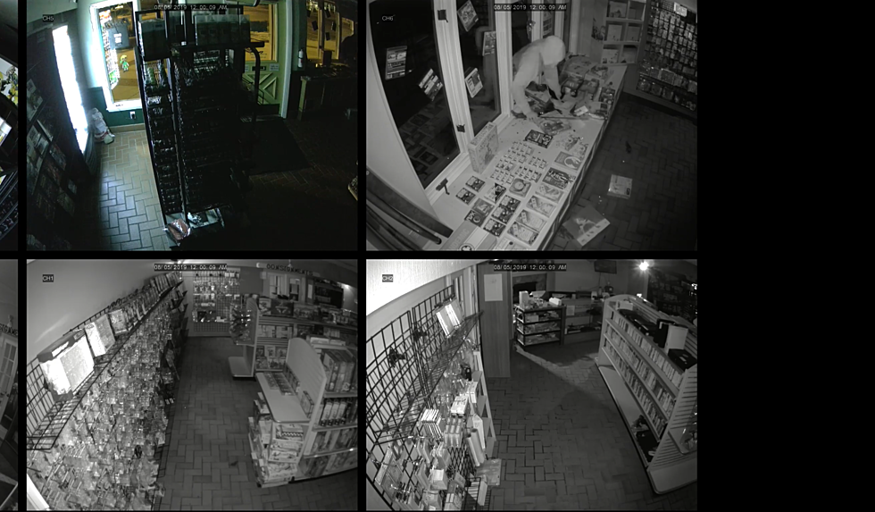 Michigan Game Store Burglarized by Thief with a Machete