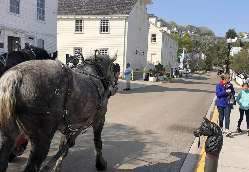 Vice President May Break Mackinac Tradition, Use SUV on the Island