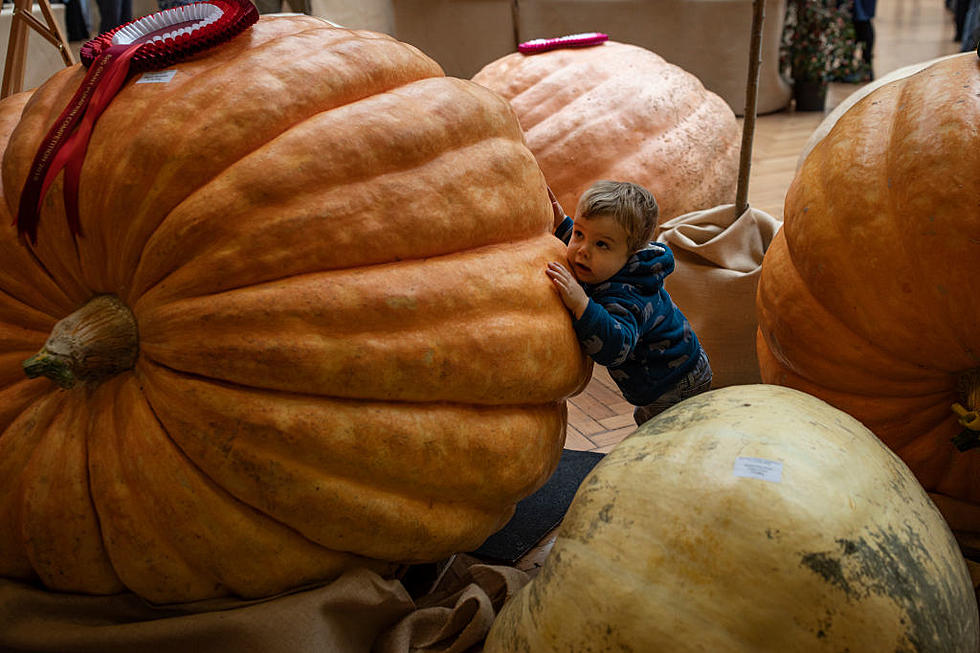 WATCH: Fight Breaks Out Pumpkin Farm in Saginaw [NSFW]